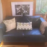Little Oasis Garden Studio Manly Vale
