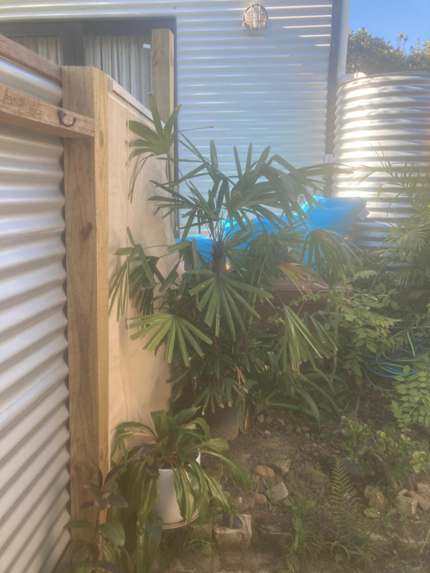 Homestay Little Oasis Garden Manly Vale